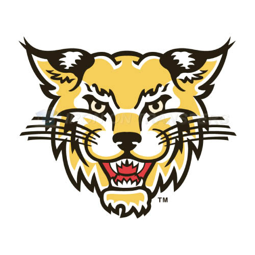 Western Carolina Catamounts Iron-on Stickers (Heat Transfers)NO.6949